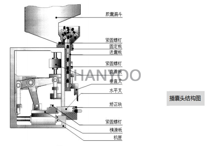 半自动胶囊充填机播囊